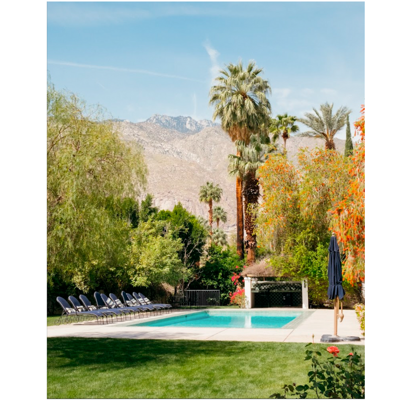 Poolside Breakfast, Palm Springs by Nick Atkins