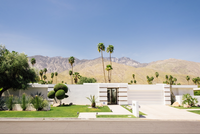 White Stripes, Palm Springs by Nick Atkins