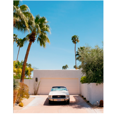 Mustang, Palm Springs by Nick Atkins