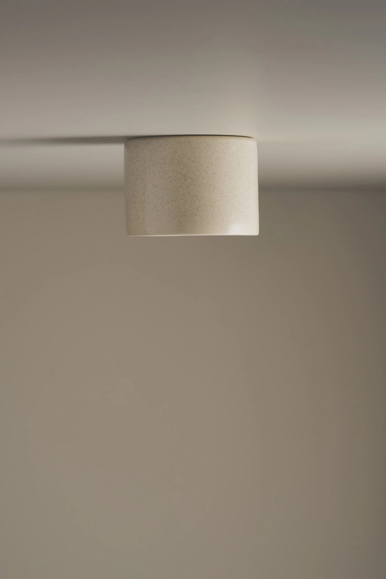 Cylinder Ceiling Light