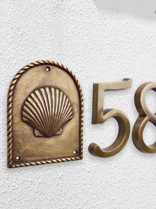 Shell  Wall Plaque