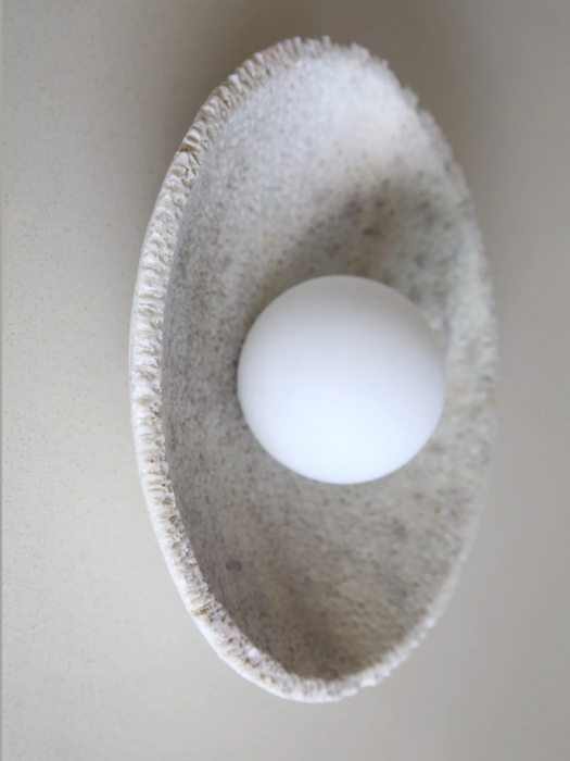 Fossil Coral Orb Wall Light