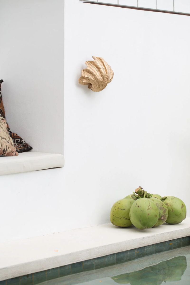 Sculpted Shell Wall Sconce