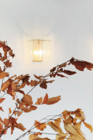 Sofia Wall Light