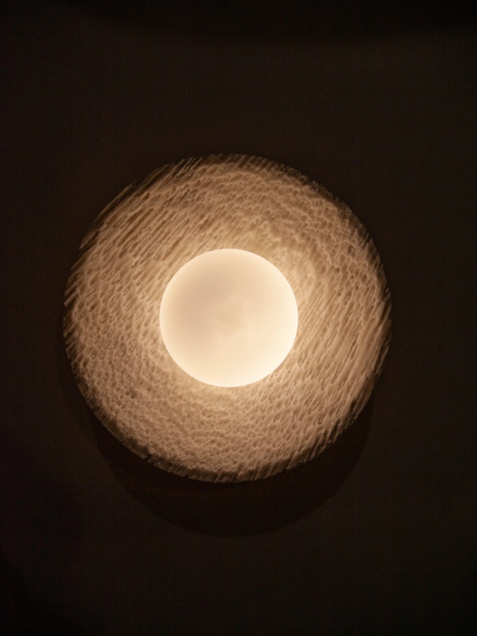 Fossil Coral Orb Wall Light