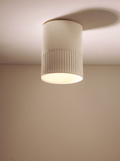 Day Surface Mount Ceiling Light