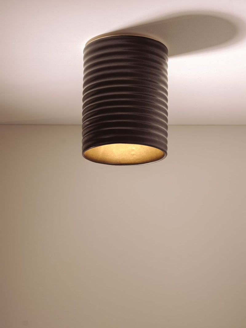 Wobbly Surface Mount Ceiling Light