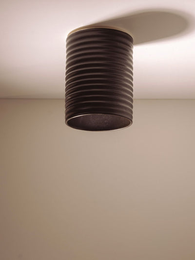 Wobbly Surface Mount Ceiling Light