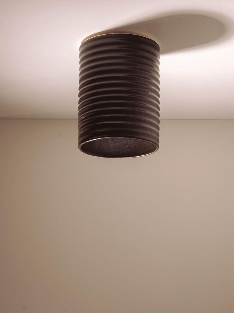 Wobbly Surface Mount Ceiling Light