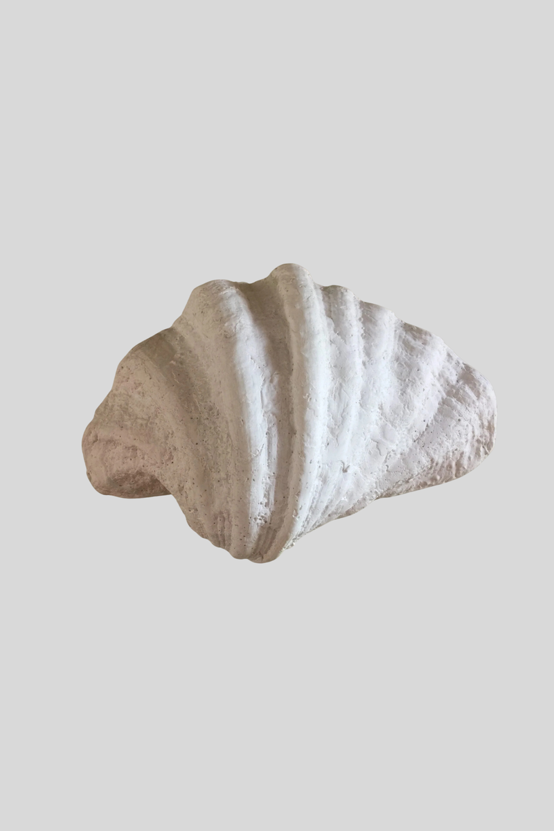 Sculpted Shell Wall Sconce
