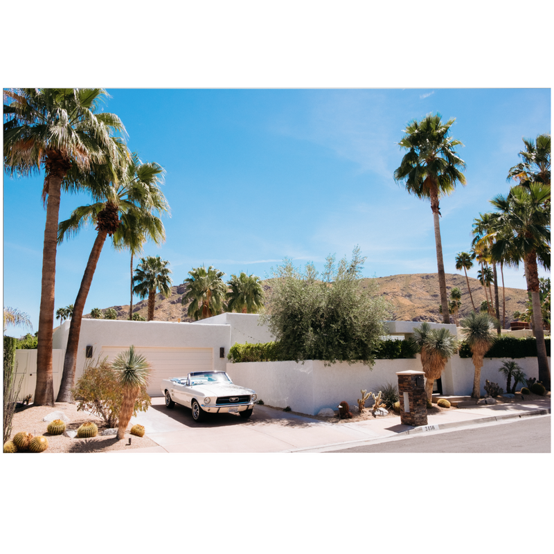 Mustang House, Palm Springs by Nick Atkins