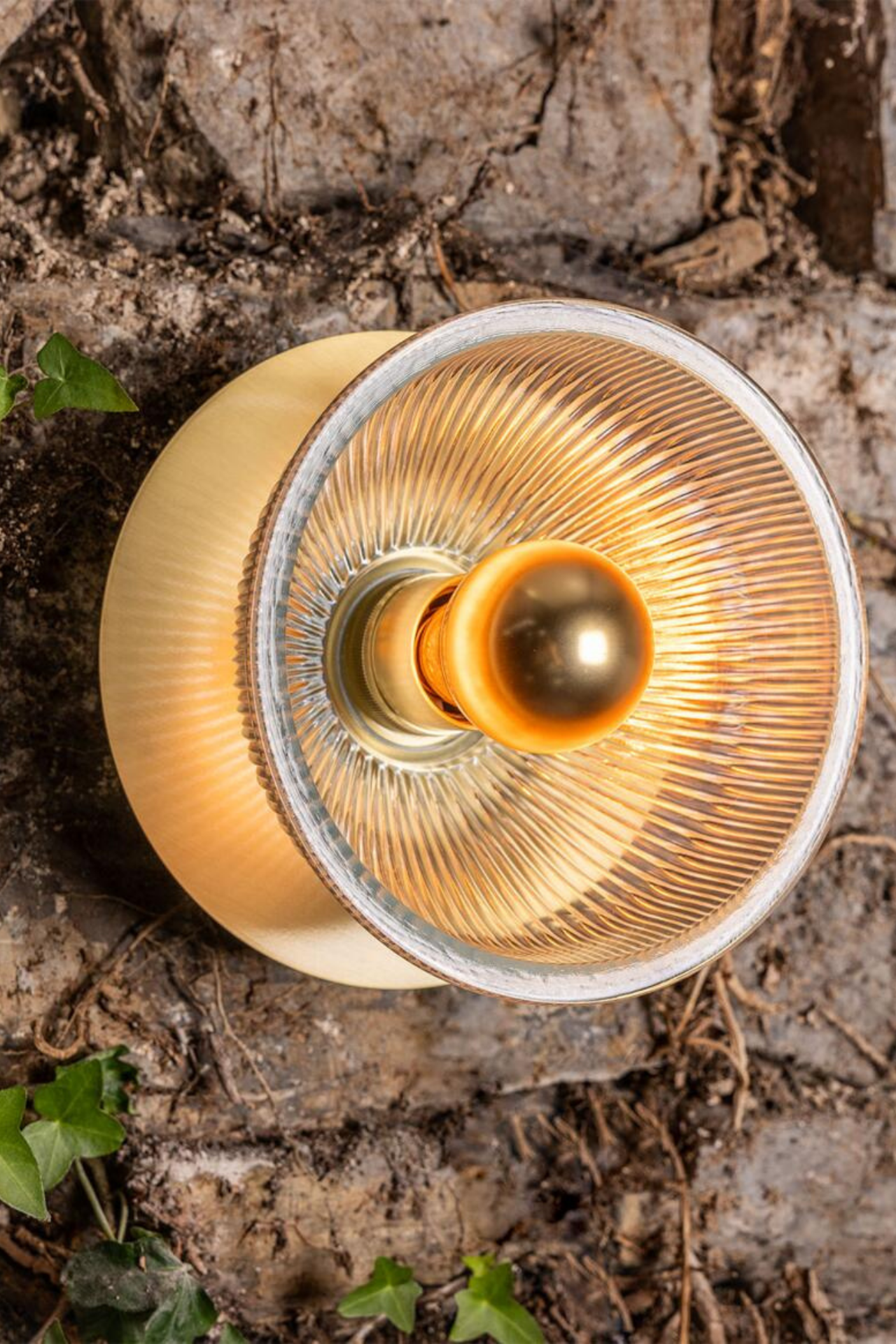 Eclipse Wall Light