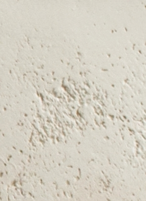 Lido