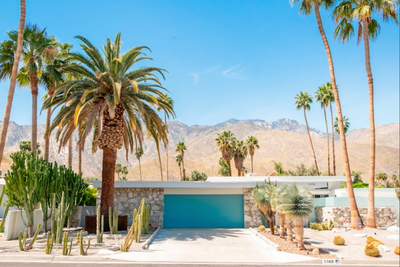 Blue Door, Palm Springs by Nick Atkins