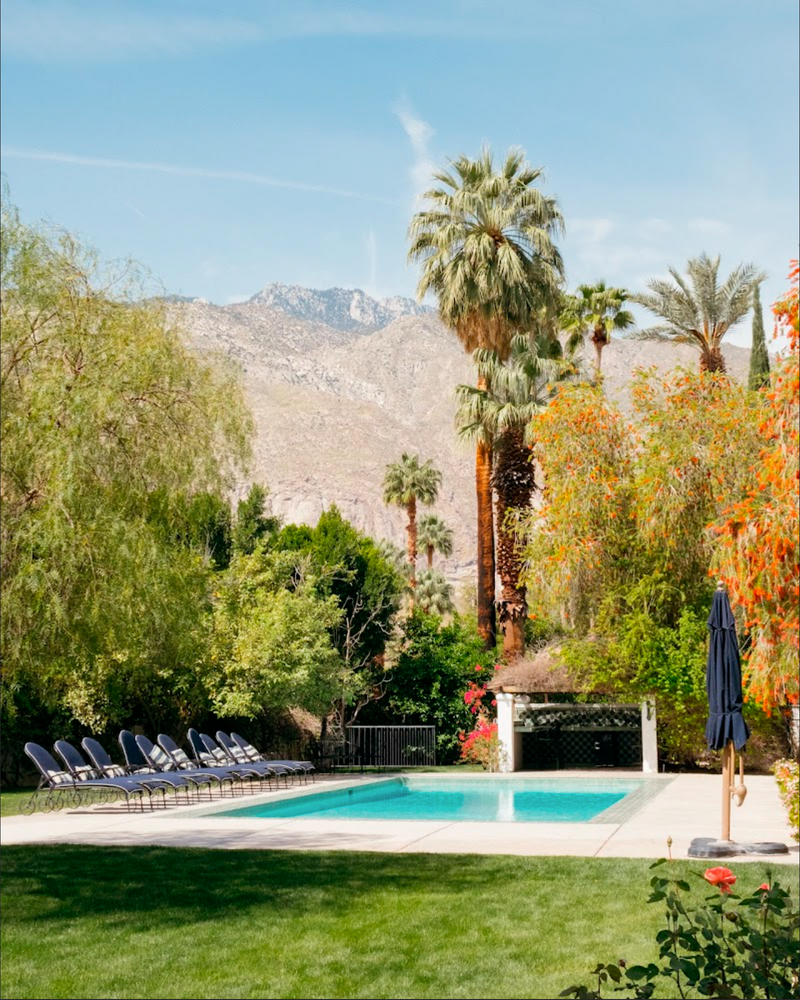 Poolside Breakfast, Palm Springs by Nick Atkins