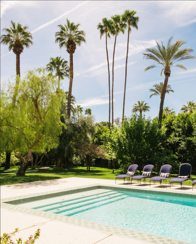 Poolside Palms, Palm Springs by Nick Atkins