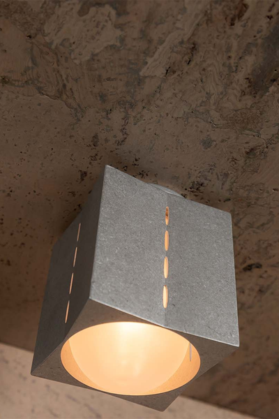 Polaris Ceiling Light