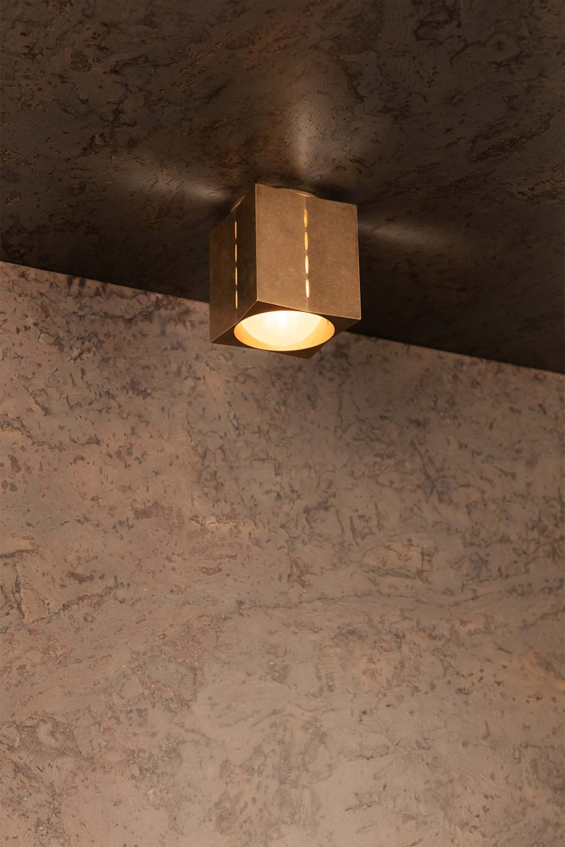 Polaris Ceiling Light