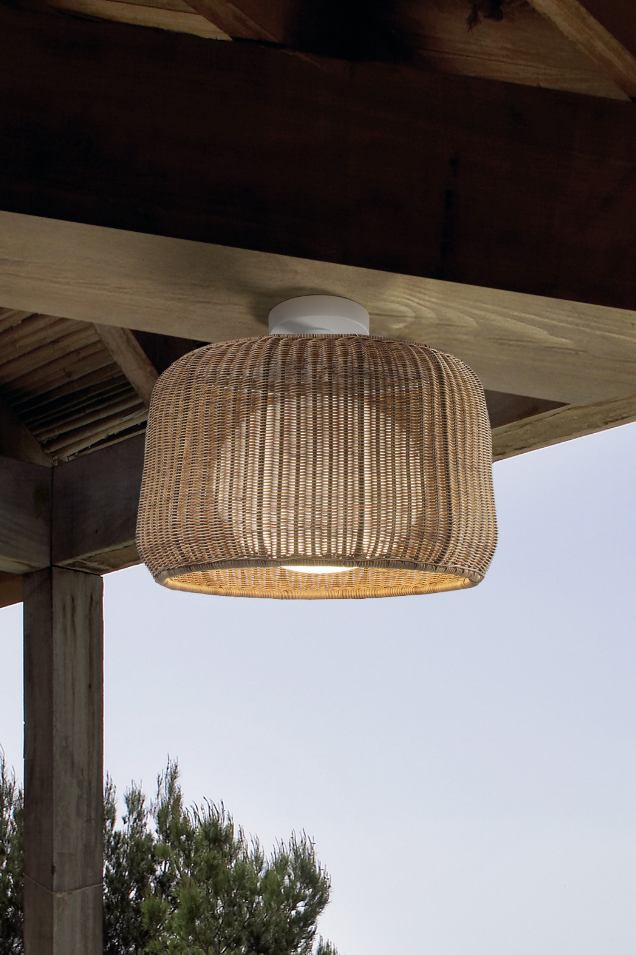 Fora Ceiling Light