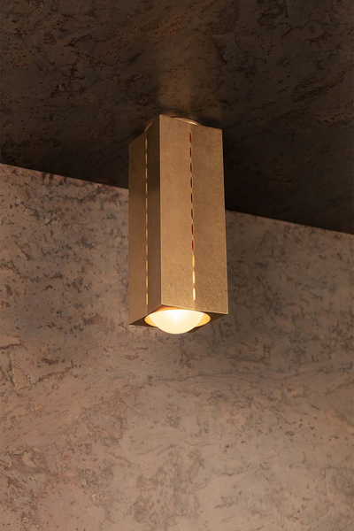 Polaris Ceiling Light