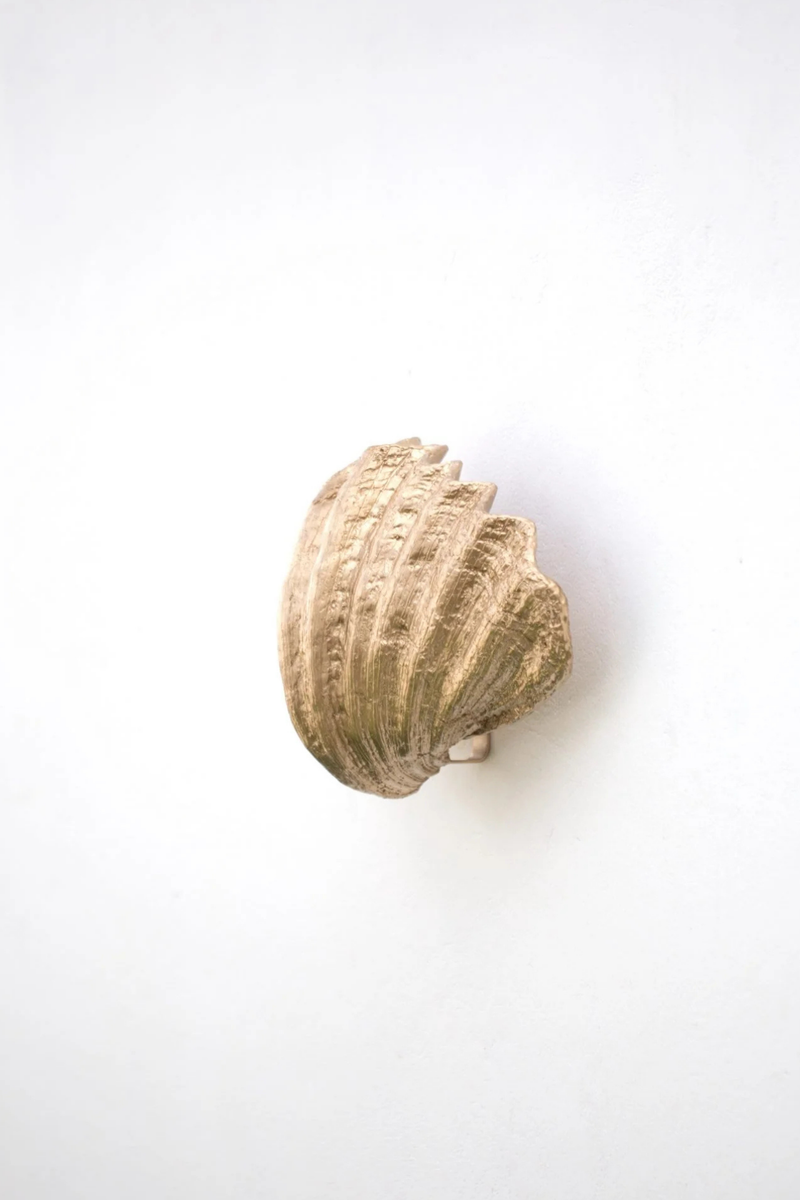 Sculpted Shell Wall Sconce