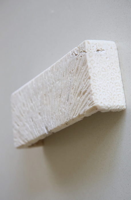 Fossil Coral RECTANGLE Wall Sconce