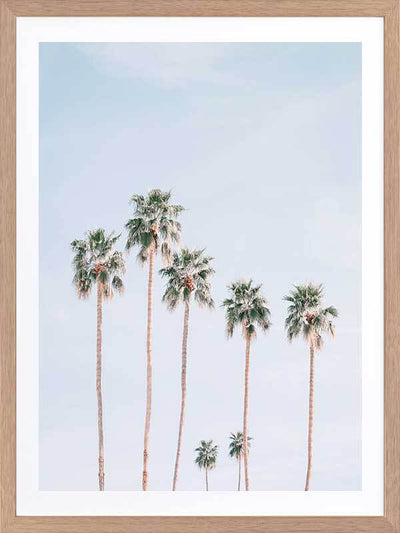 Desert Palms Poster