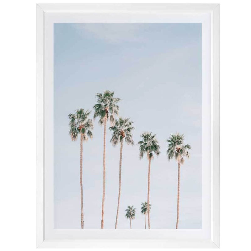 Desert Palms Poster